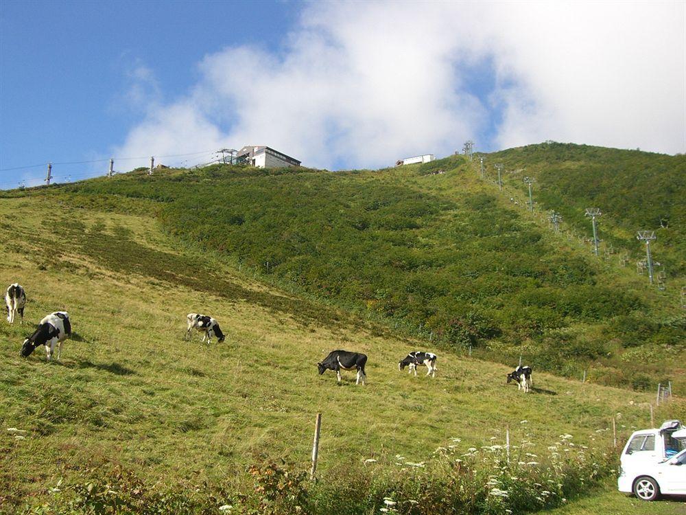 Il Bosco Villa ฮาคุบะ ภายนอก รูปภาพ