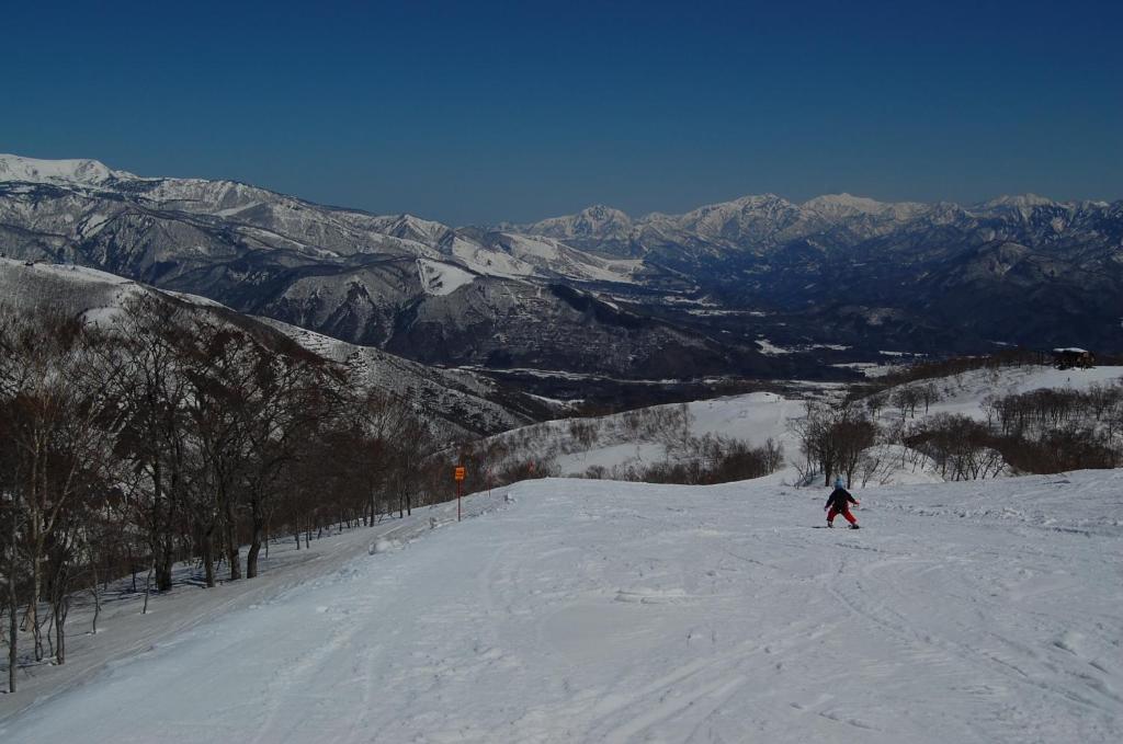 Il Bosco Villa ฮาคุบะ ภายนอก รูปภาพ